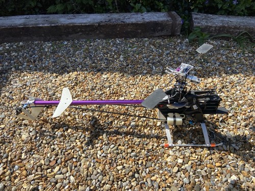 Thunder tiger raptor - thunder,