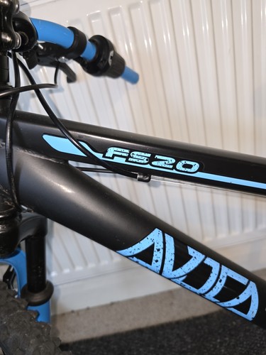 Inch avoca mountain bike - 20-inch,