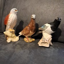 Beswick Pigeon 1383 Magpie Buzzard