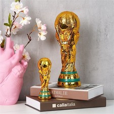 Large World Cup Football