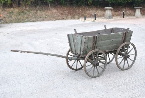 Old vintage dog - vintage, pony