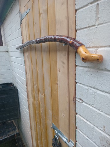 Irish blackthorn stick - irish,