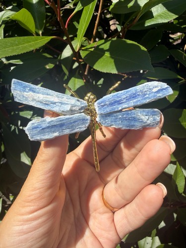 Blue kyanite dragonfly - blue,