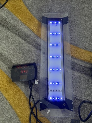Zetlight marine aquarium fish - zetlight,