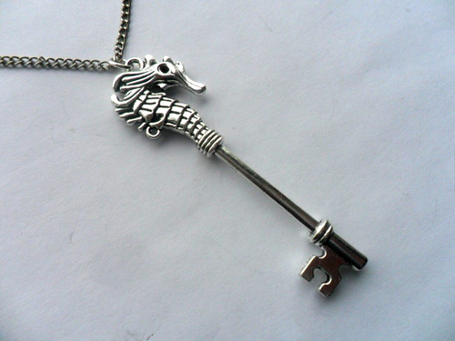 Lovely seahorse hippocampus - lovely,