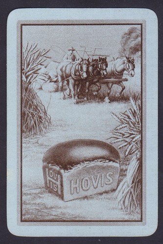 Brown hovis bread - bread, horses