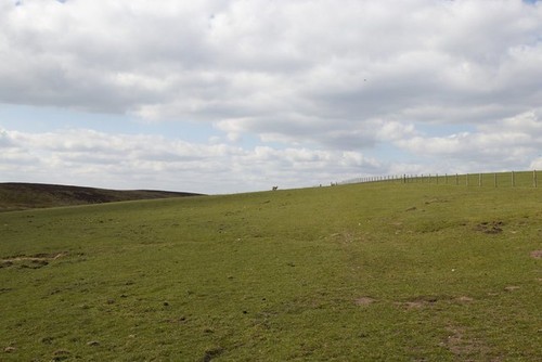 Photo 6x4 grazing land - 6x4,