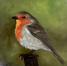 Original Oil Painting Robin