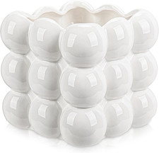 Ceramic White Indoor Plant