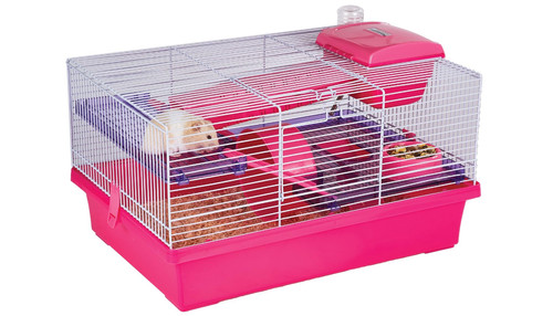 Options small animal - animal, pico