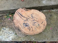 Small Pippy Elm Log - Woodturning/ Lathe / Wood Working Projects