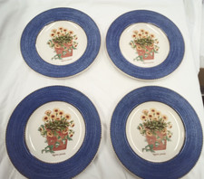 Wedgwood Sarah’s Garden Blue side plate, Tagetes Patula appr 21 cm x4 [ED] 2
