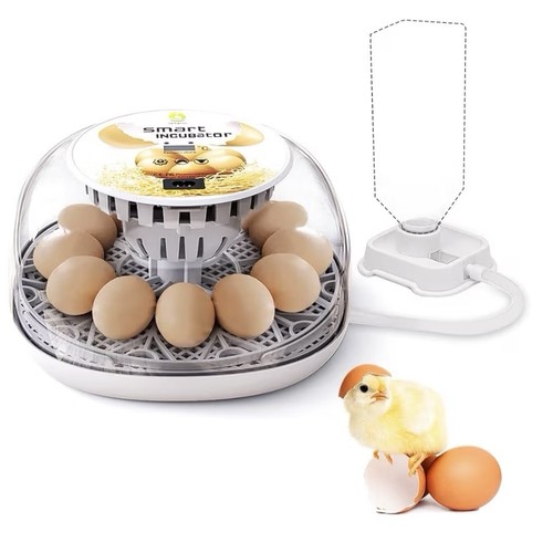 Egg incubator digital - egg,