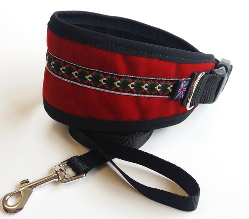 Greyhounds lurcher dog - /,