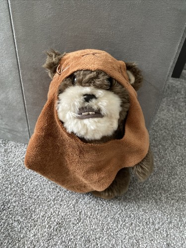 Disney star wars wicket - wars, ewok
