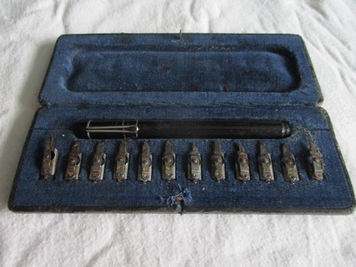 Pelikan graphos - pelikan,