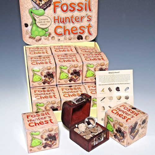 Fossil fossils collection - collection,