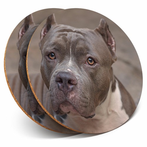 Coasters american - 2,