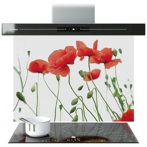 Kitchen glass splashback - kitchen,