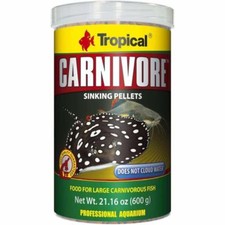 Tropical Carnivore Sinking