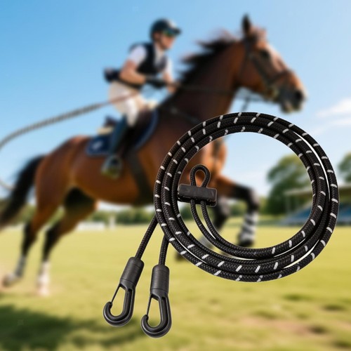 Horse rein training - horse,