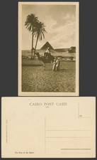 Egypt Old Postcard Pyramid Native Camel Rider King of The Desert Palm Trees 333.