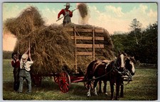 Antique Postcard Horse-drawn