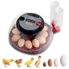 12 Eggs Incubator with