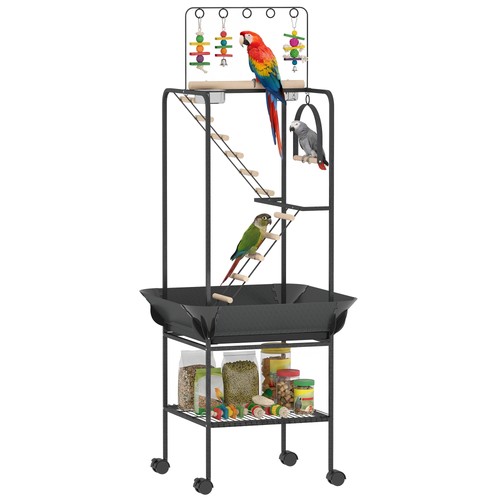 Rolling bird playground - rolling,