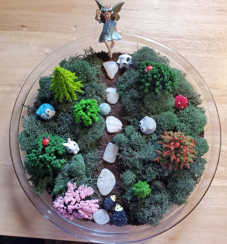 Forest fairy garden - garden, kit