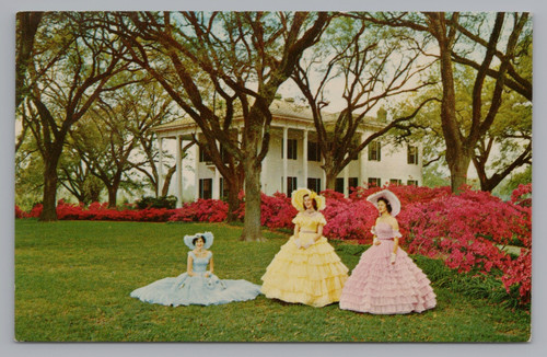Postcard the mitchell - postcard,
