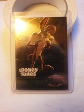 WILE E COYOTE RMU-16 2024