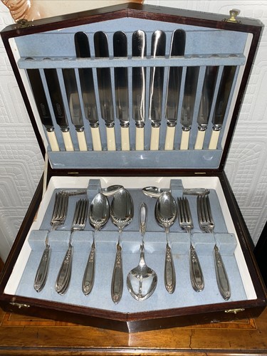 Beautiful 40pc oneida art deco - art,