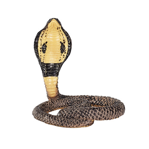 King cobra wild - zoo, animals