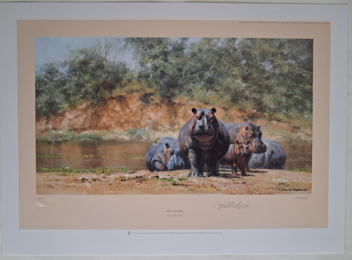 David shepherd hot potami - david,