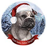 Holiday pet gifts - holiday,