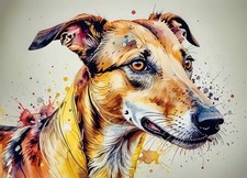 Greyhound Whippet Paint A5