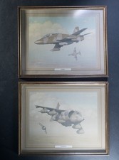 Hawk & Harrier Keith Woodcock