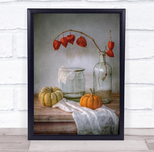 Still life pumpkin - still-life, physalis