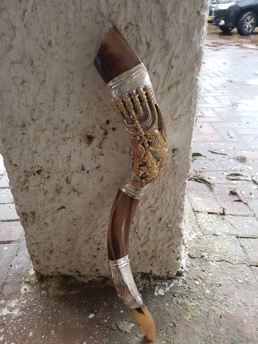 Shofar yemenite kudu horn - shofar,