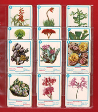 SOUTH AFRICAN FLOWERS - WEETABIX S.A. - CEREAL TRADE CARDS  (RV13)