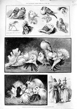 Original Old Antique Print