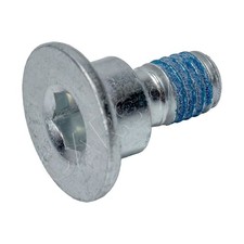 SWAG Wheel Hub Bearing Screw