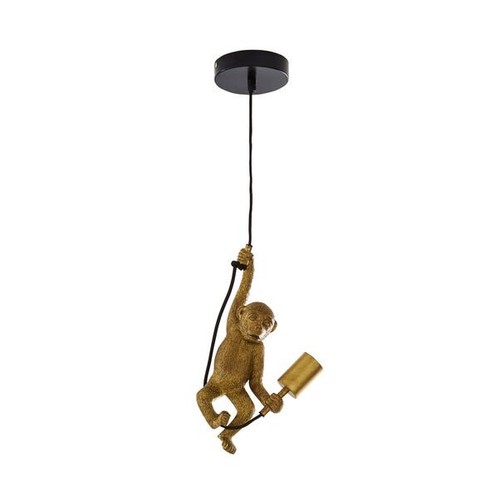Odisha monkey ceiling - odisha,