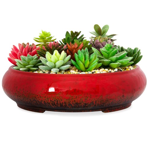 Artketty succulent pots 11 - succulent, 11.5