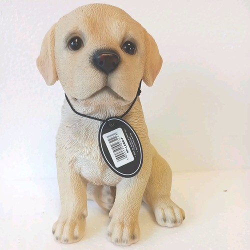 Labrador puppy dog - dog,