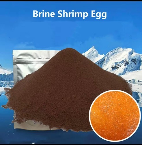 100g brine shrimp eggs artemia - brine,