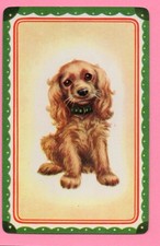 SWAP CARD SINGLE, vintage, patter bordered, beautiful cocker spaniel