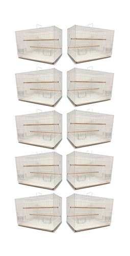 Lot ten aviary breeding - of,