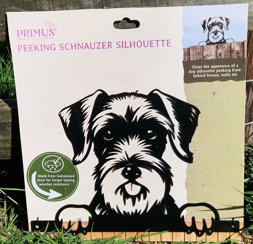 Black metal peeking - black, schnauzer